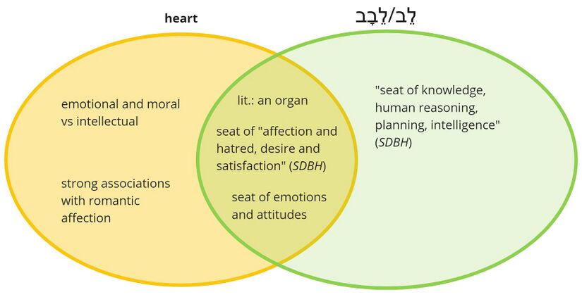 Heart.jpg