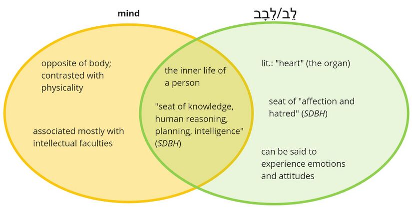 Mind.jpg
