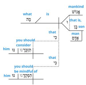 Vertical Grammar (Ps. 8:5)