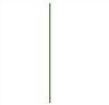 Ps 111 green line.jpg