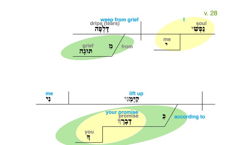 Psalm 119 - Grammatical Diagram v. 28.jpg