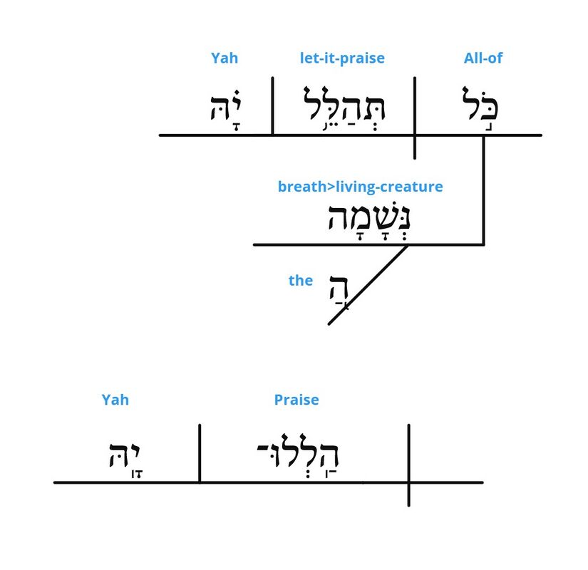 Psalm 150 - grammar v. 6.jpg