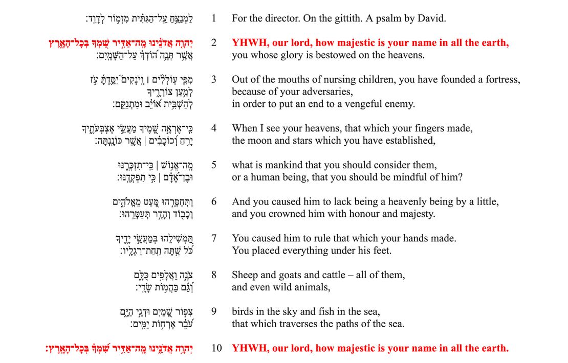 Psalm 8 - Poetic feature 1.jpg