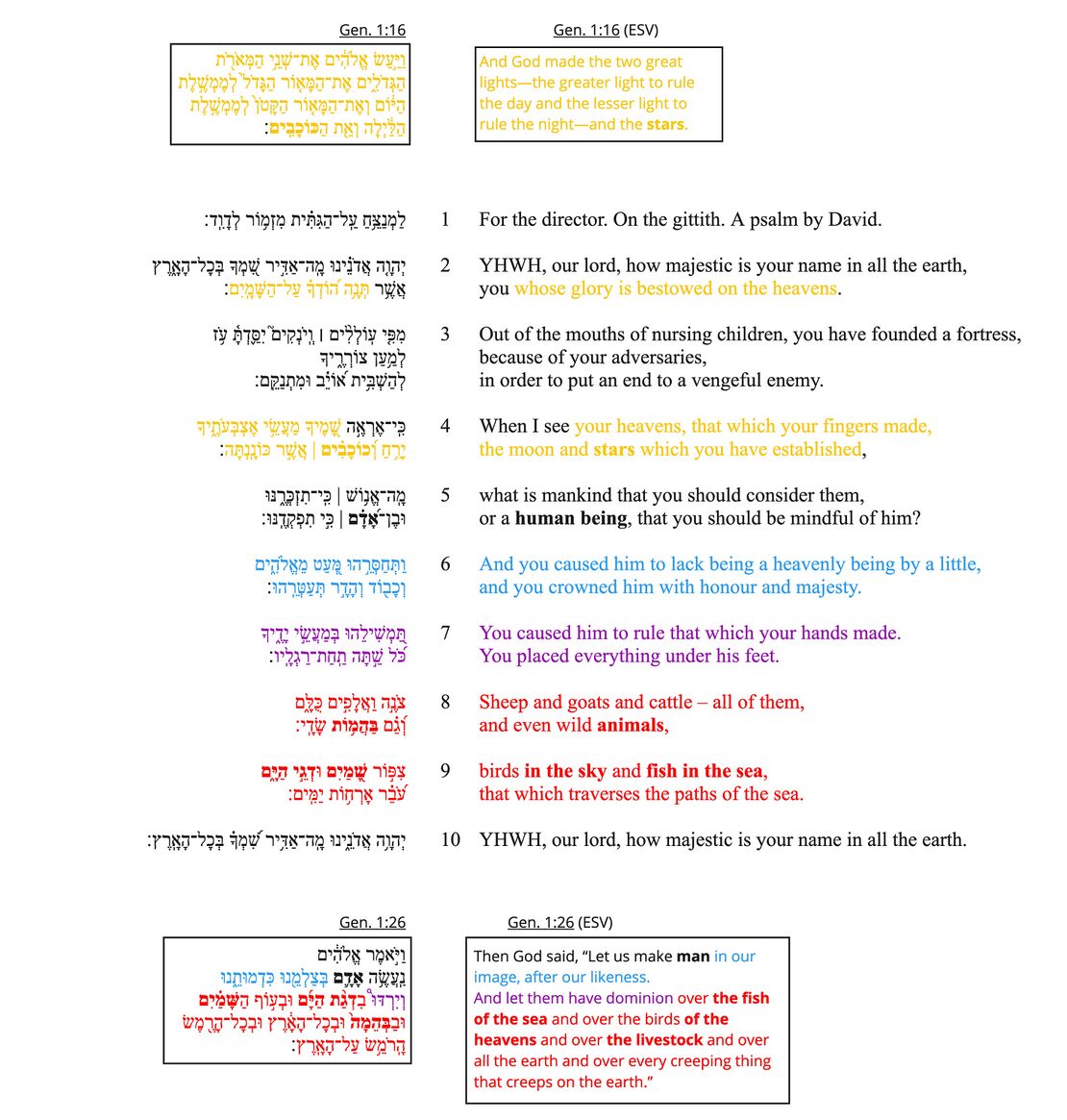 Psalm 8 - Poetic feature 3.jpg